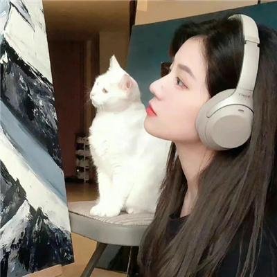消失的收藏家